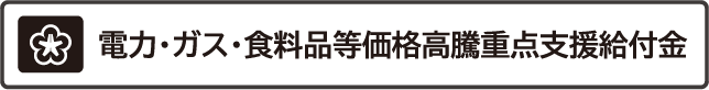 北九州市　電力・ガス・食料品等価格高騰重点支援給付金　詳細へ